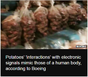 Boeing uses potatoes instead of people to test wi-fi' 