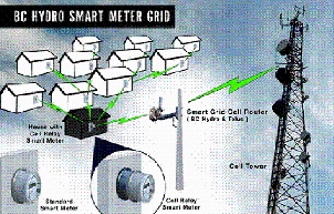 Re: Immediate Suspension of  B.C. Smart Meter Programs,  Damage is Measurable By the Second