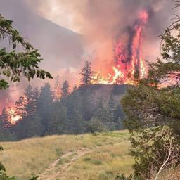 Cariboo Wildfires Information and Safety Page, July 22nd, 2024, in Williams Lake, B.C.